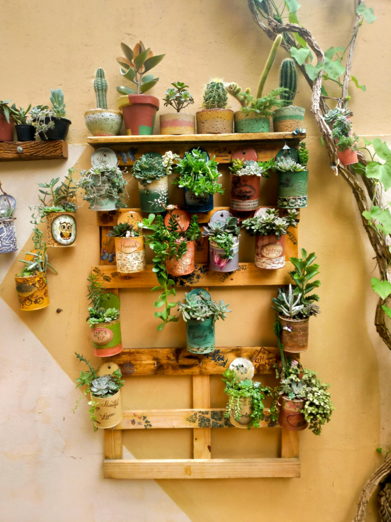 gardening for small spaces