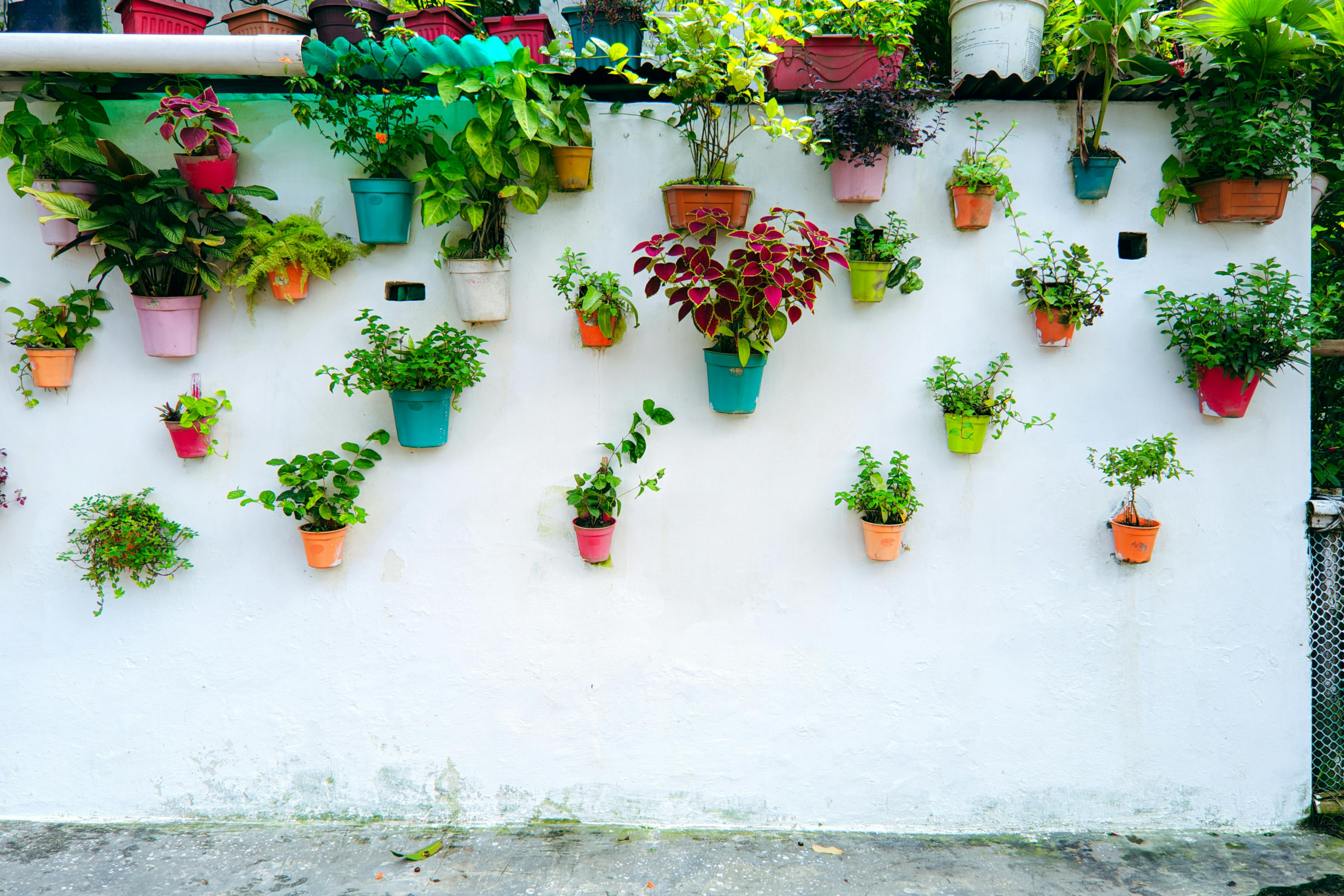 Gardening for Small Spaces