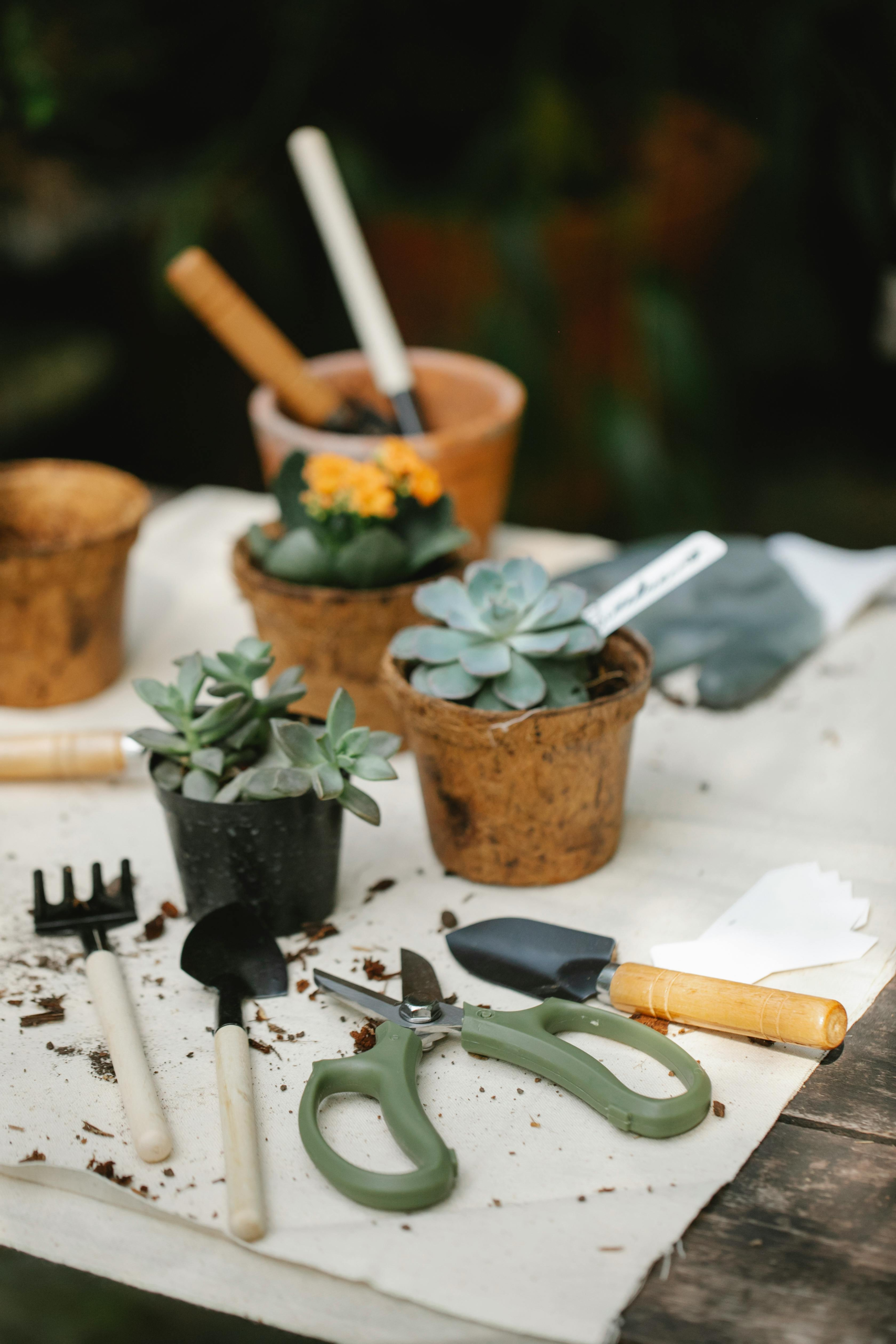 Gardening with 5 minutes a day