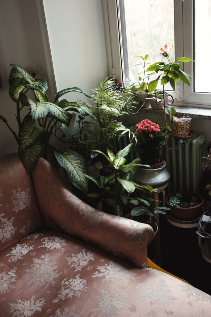 living room corner