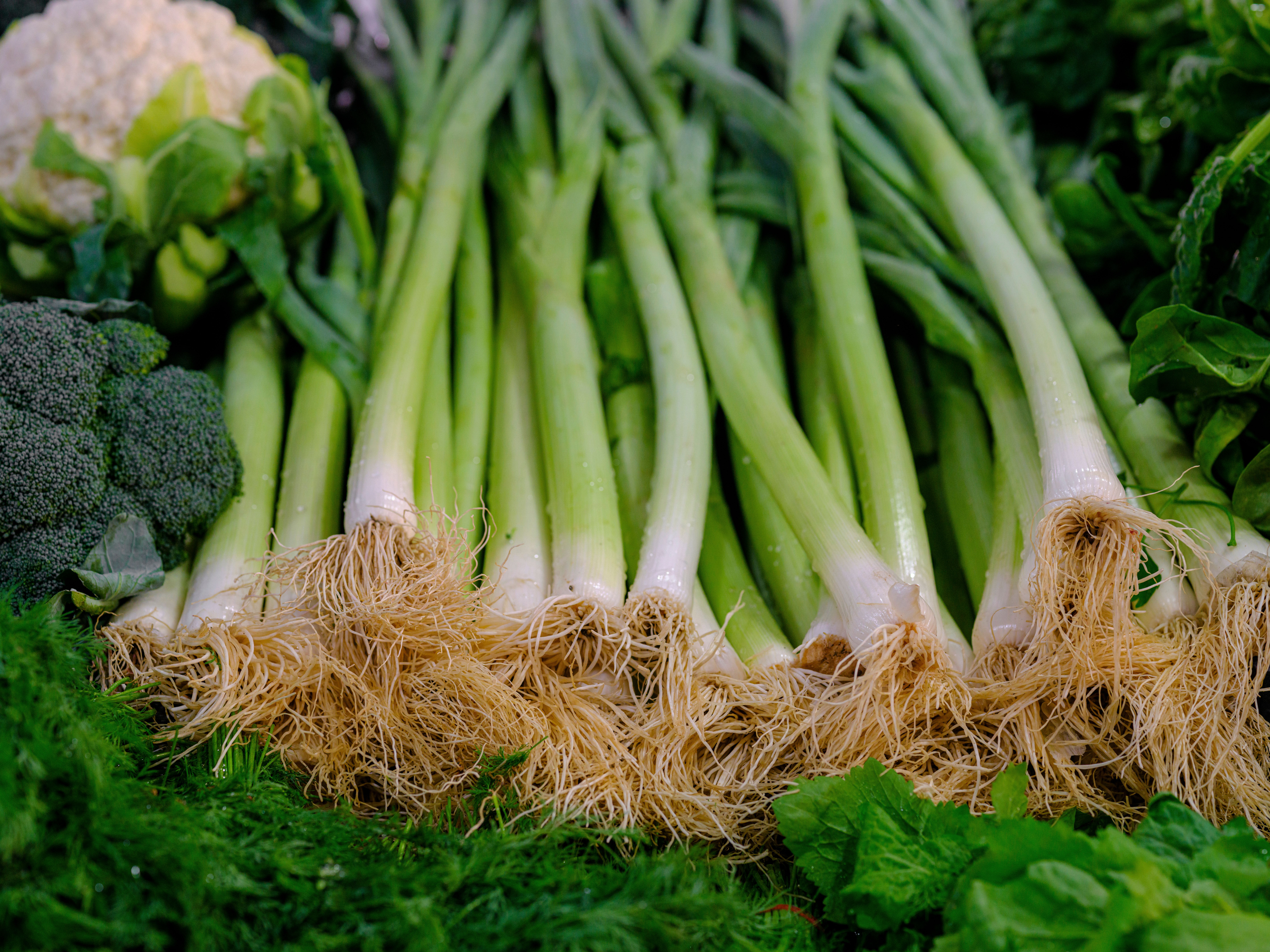 fast growing vegetables
