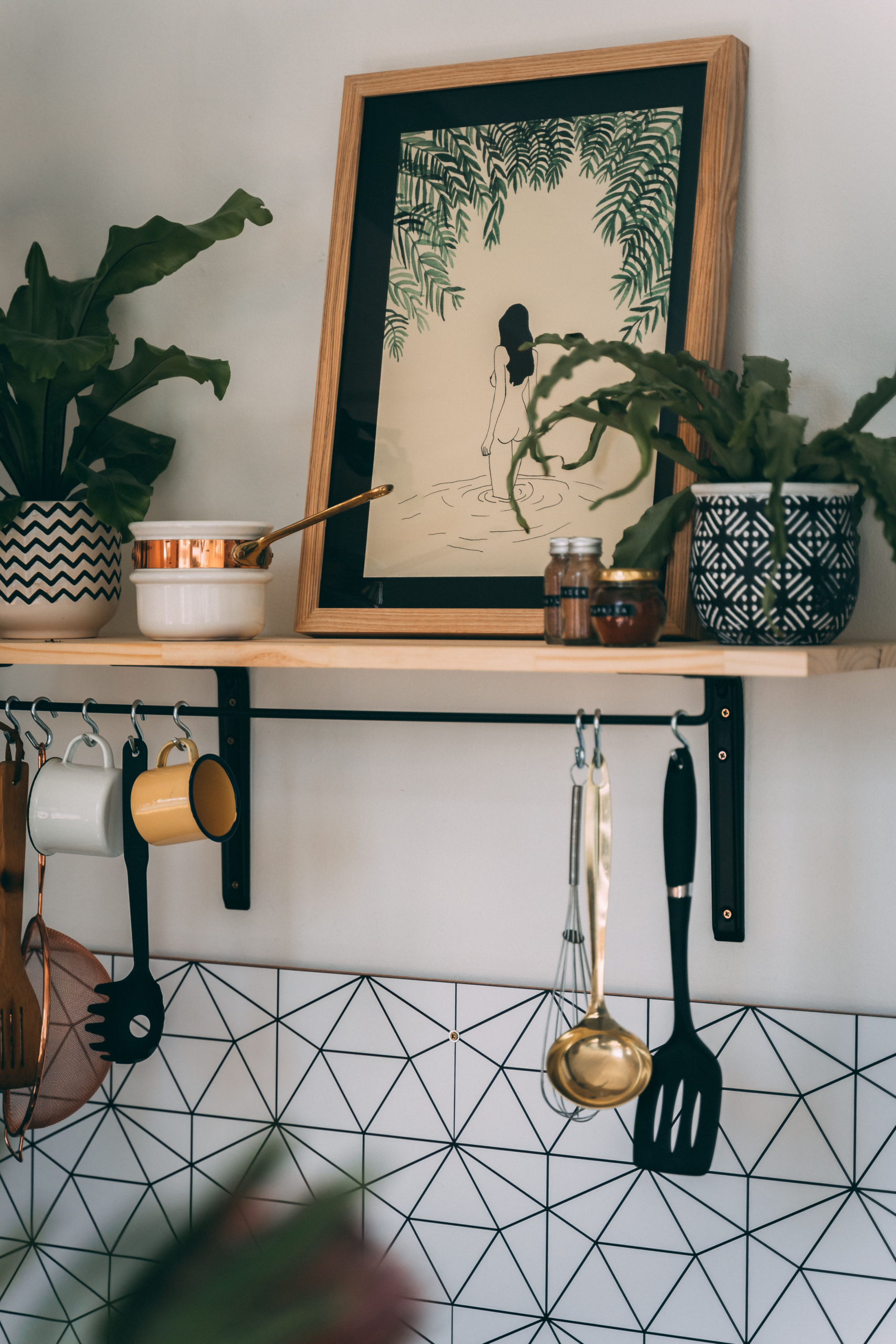 plants for kitchen